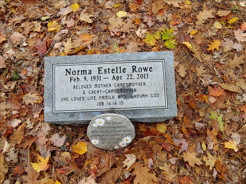 Plot VIIB1 Bois Blanc Township